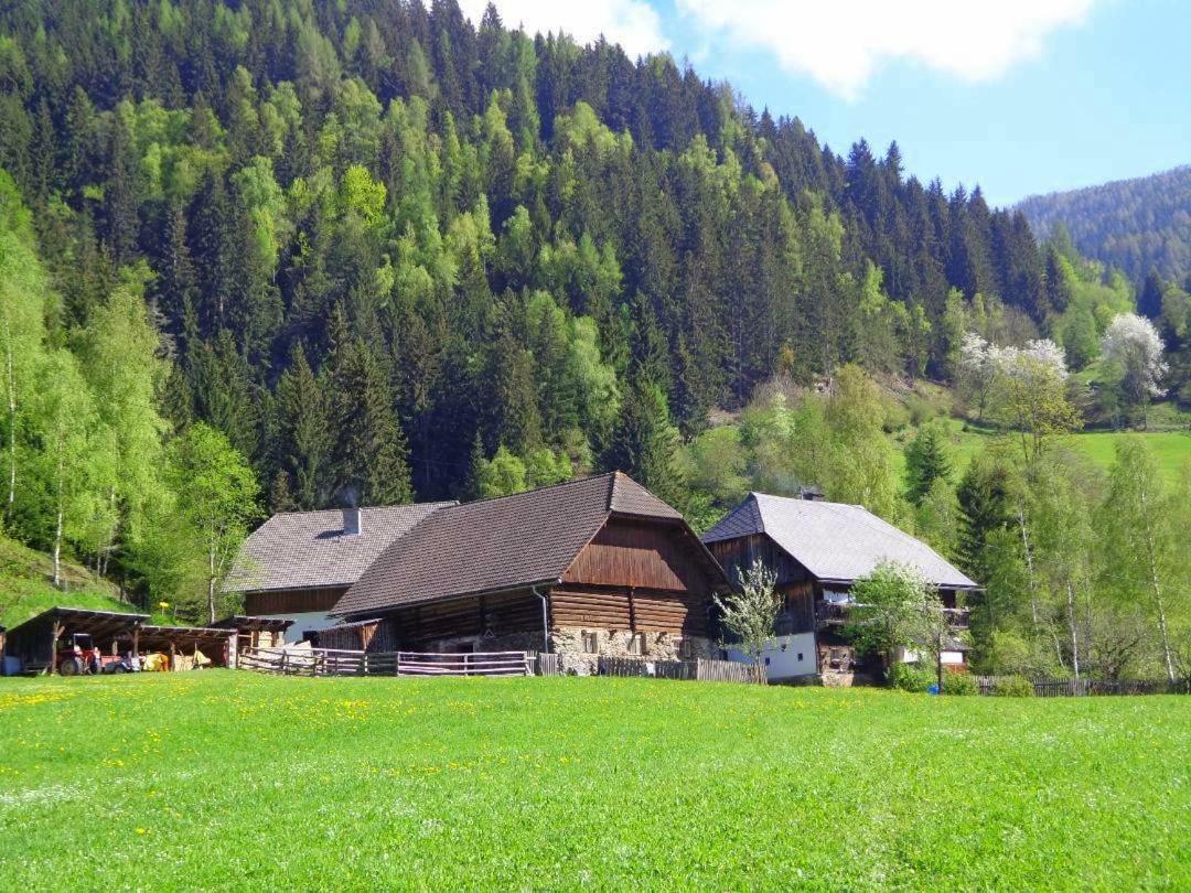 Apartment Zum Wasserfall Krakaudorf Екстер'єр фото