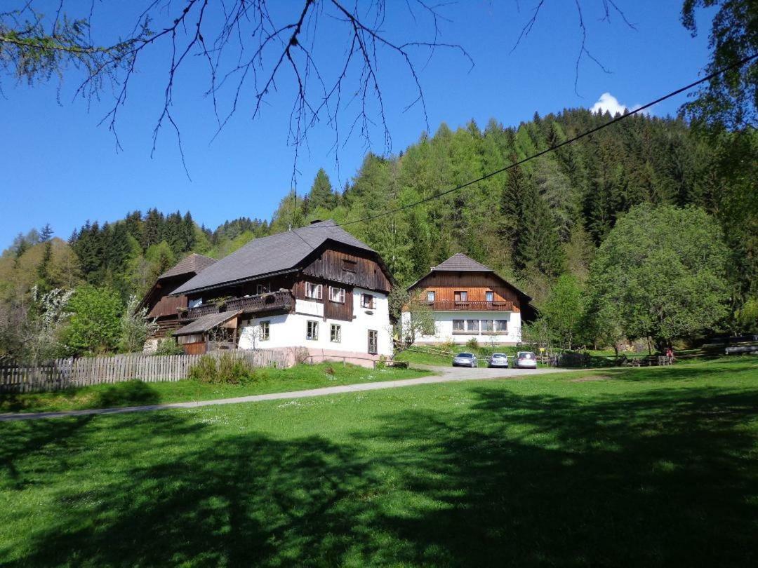 Apartment Zum Wasserfall Krakaudorf Екстер'єр фото