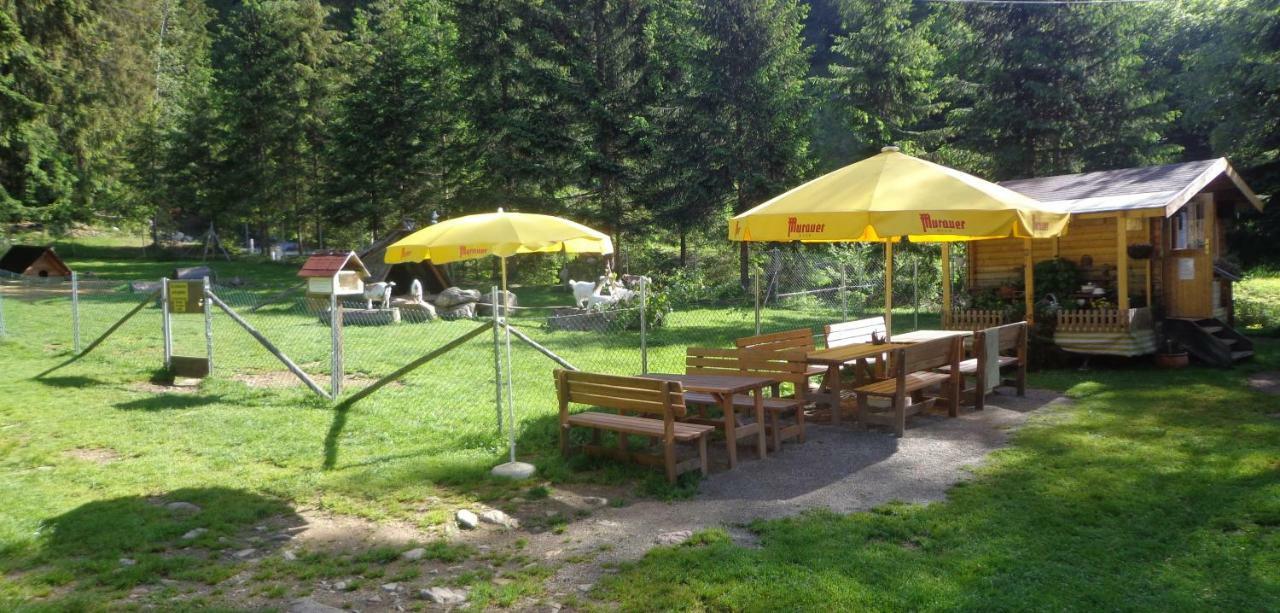 Apartment Zum Wasserfall Krakaudorf Екстер'єр фото