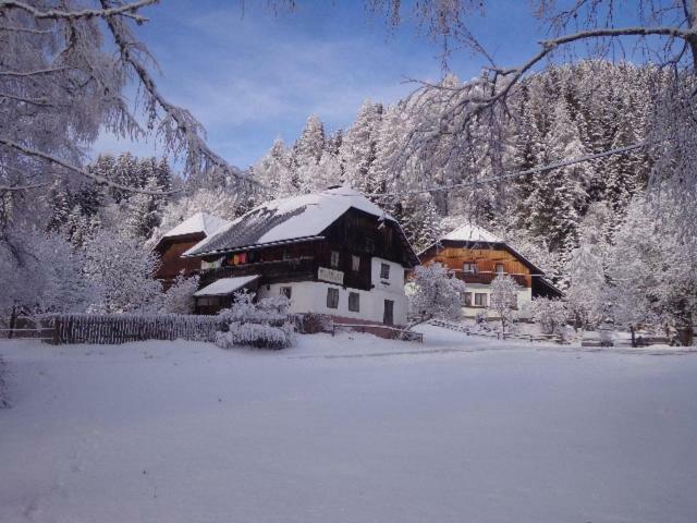 Apartment Zum Wasserfall Krakaudorf Екстер'єр фото